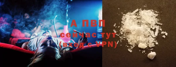 мдпв Пестово
