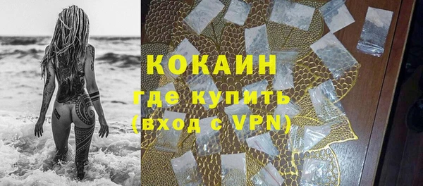 мдпв Пестово