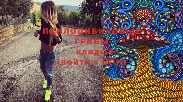 мдпв Пестово