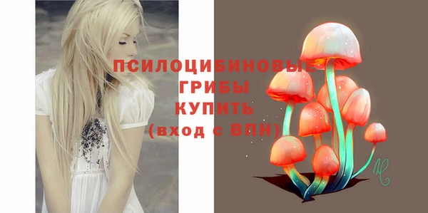 мдпв Пестово