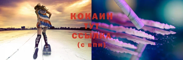 мдпв Пестово