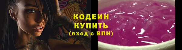 мдпв Пестово