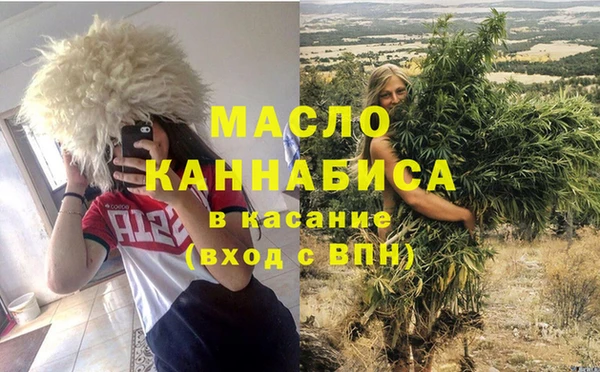 мдпв Пестово