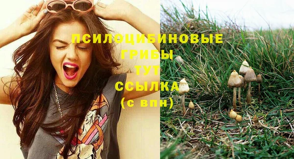 мдпв Пересвет