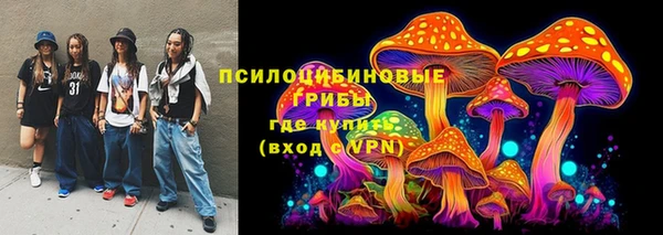 мдпв Пестово