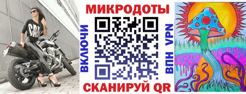 наркошоп  Скопин  Галлюциногенные грибы Psilocybe 