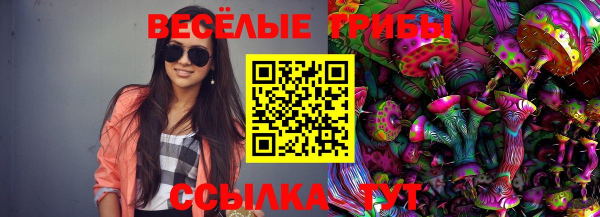 Галлюциногенные грибы Psilocybe Скопин
