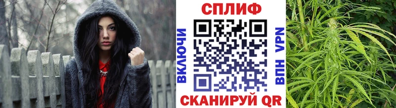 Бошки Шишки Amnesia Скопин